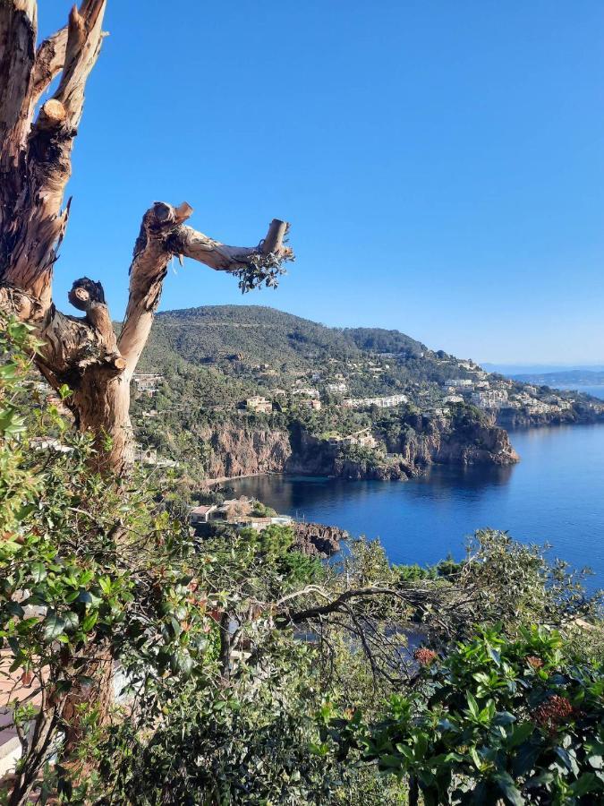 Magic Mer Saint-Raphaël المظهر الخارجي الصورة