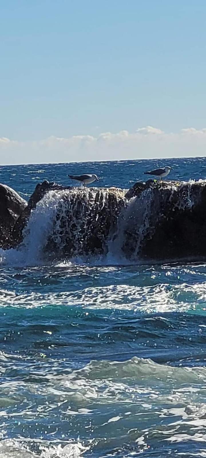 Magic Mer Saint-Raphaël المظهر الخارجي الصورة